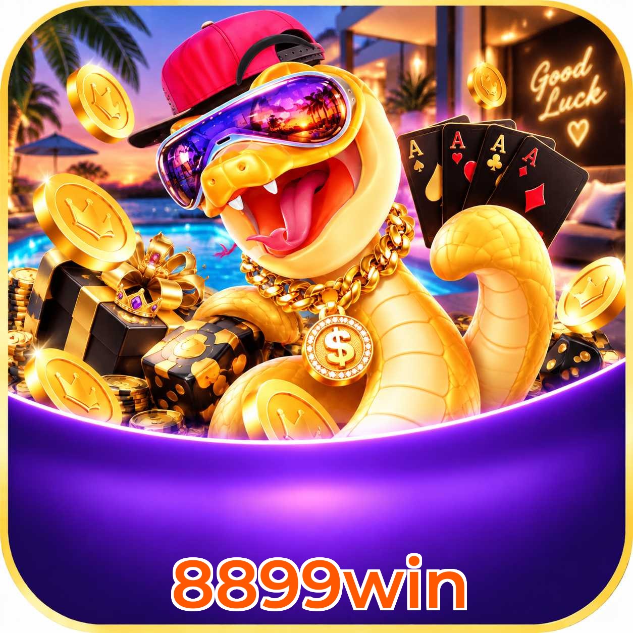 8899win Logo